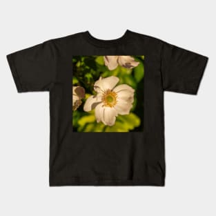 Japanese Anemone on a Sunny Day Kids T-Shirt